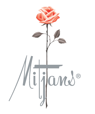 Mitjans logo